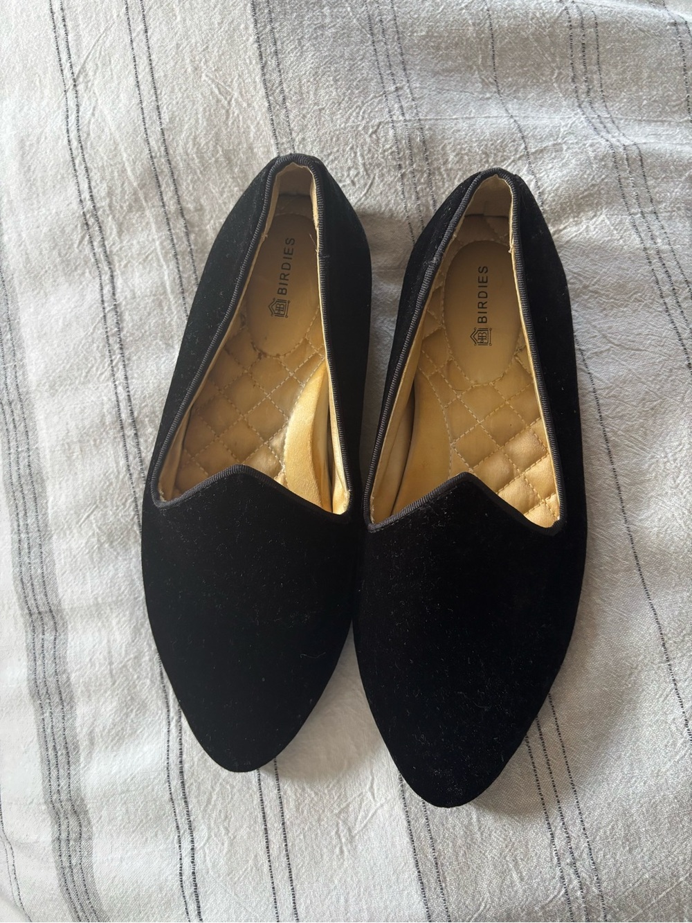 Birdies Black Velvet Pointed Loafers